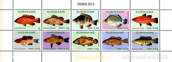 Sellos: 305778 MNH SURINAM 2013 PECES - Foto 1