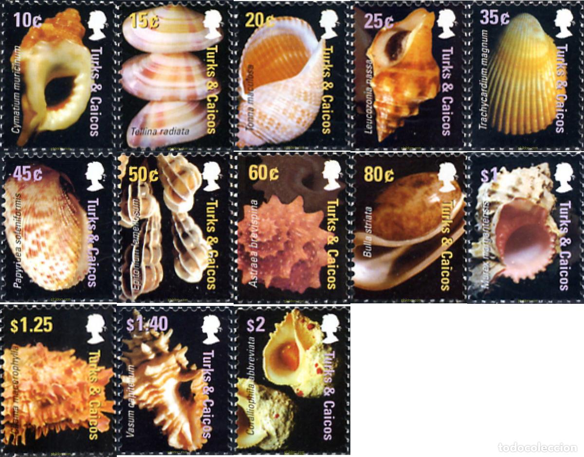Sellos: 220508 MNH TURKS Y CAICOS 2006 CONCHAS - Foto 1