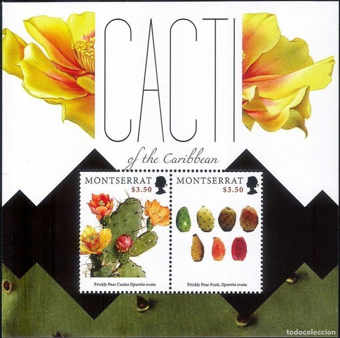 Sellos: MONTSERRAT 2012 SHEET MNH CACTUS CACTUSES CACTEES KAKTUS CACTO - Foto 1