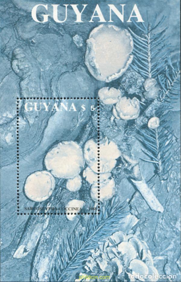 Sellos: 758966 MNH GUYANA 1989 SETAS - Foto 1