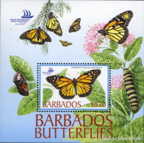 Sellos: 181479 MNH BARBADOS 2005 PACIFIC EXPLORER 2005 - Foto 1
