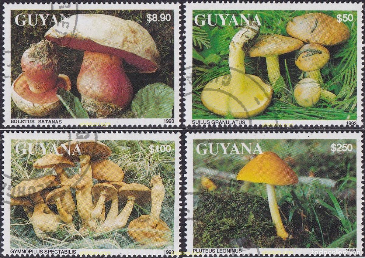 Sellos: 701739 USED GUYANA 1993 SETAS - Foto 1
