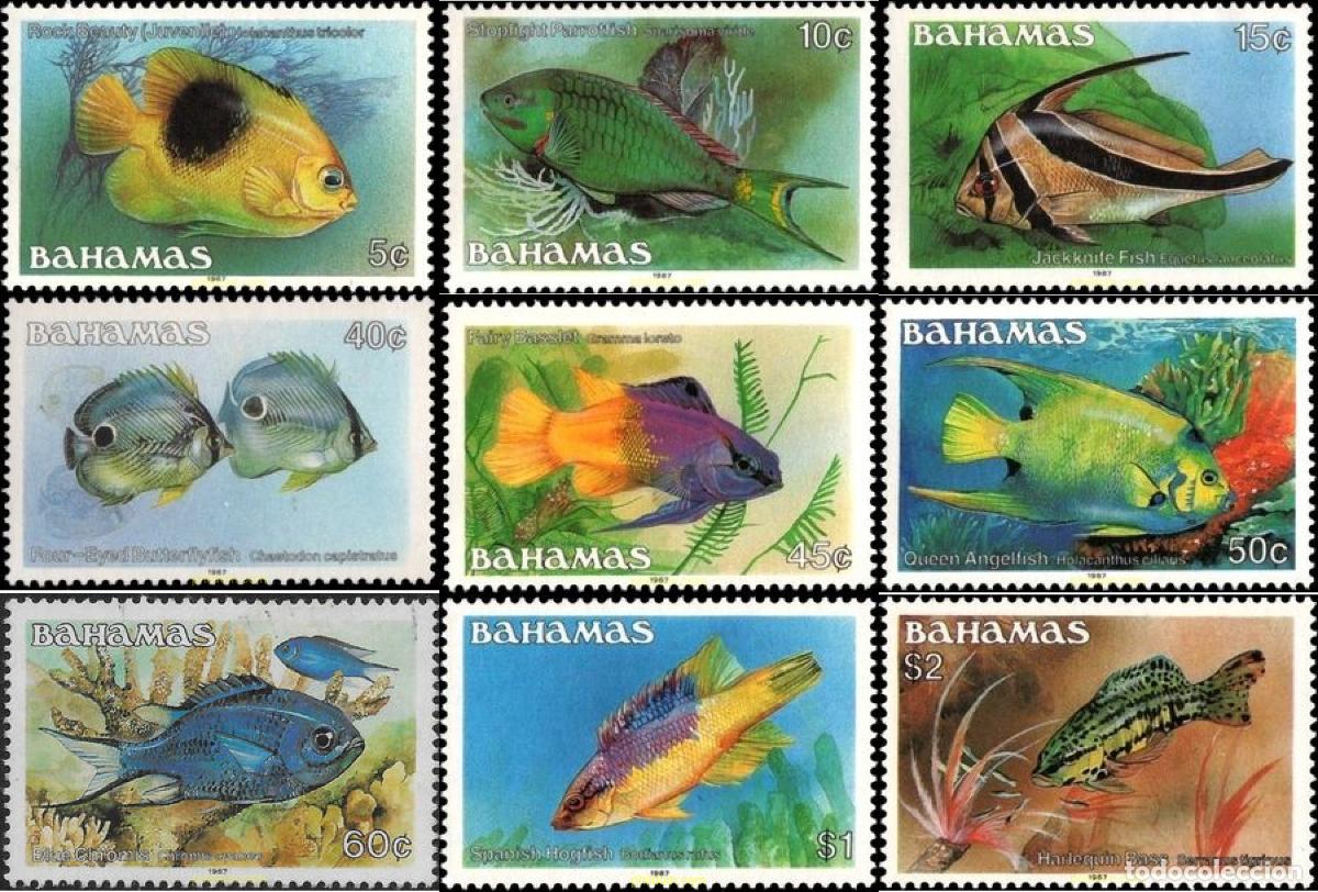 Sellos: 757929 MNH BAHAMAS 1986 PECES - Foto 1