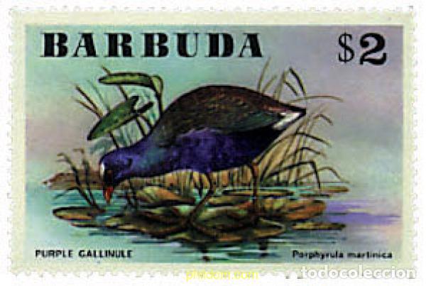 Sellos: 763332 MNH BARBUDA 1976 AVES - Foto 1