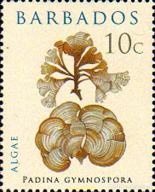 Sellos: 763307 MNH BARBADOS 2008 ALGAS - Foto 1