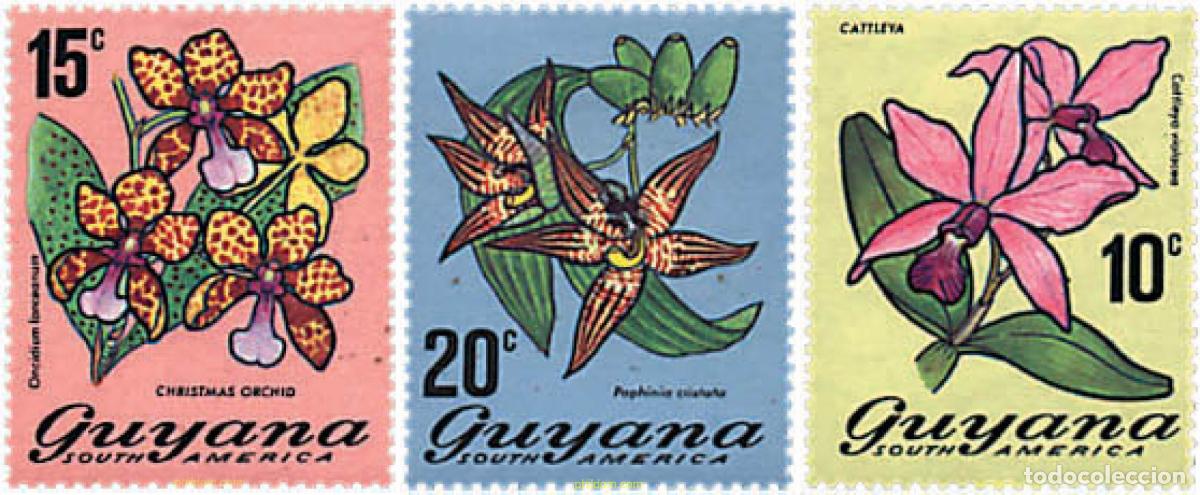 Sellos: 759946 MNH GUYANA 1971 FLORES - Foto 1