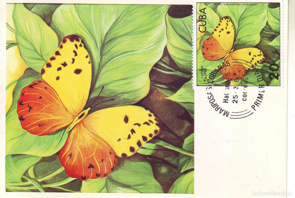 Sellos: MARIPOSAS TARJETA DE MARIPOSAS DE CUBA - Foto 1