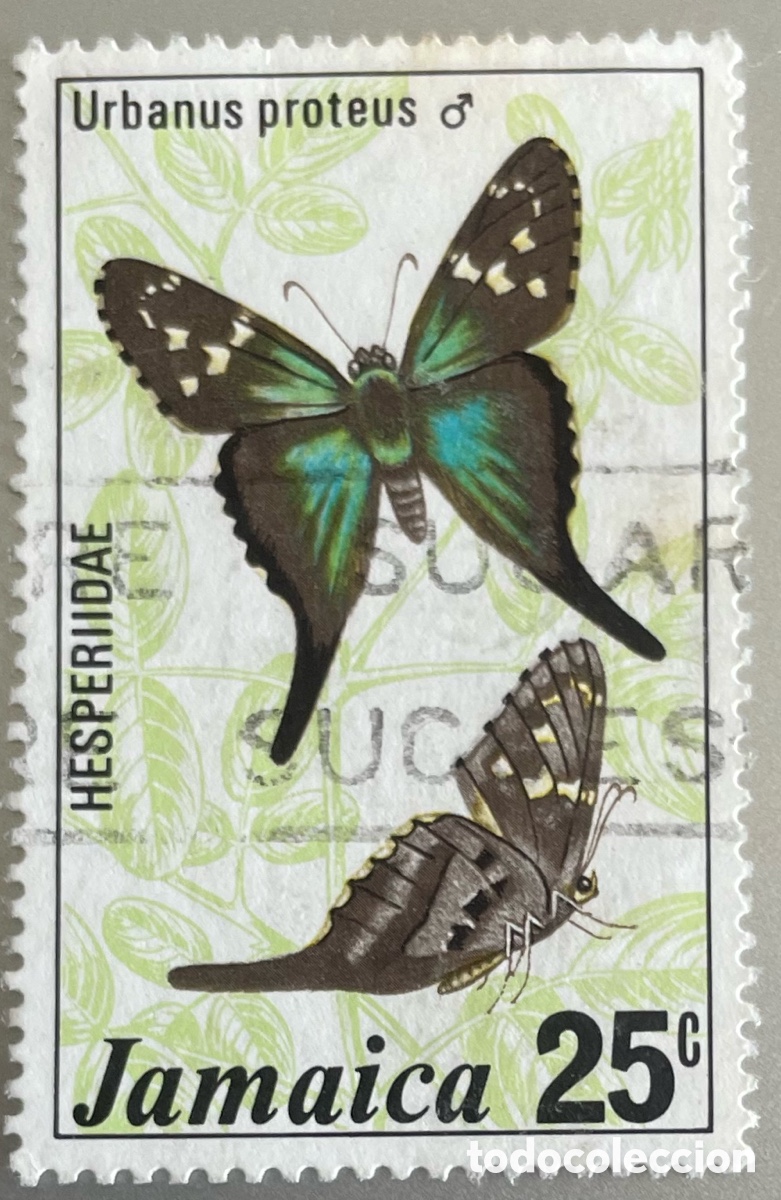 Sellos: Jamaica. Mariposas . 1978 - Foto 1