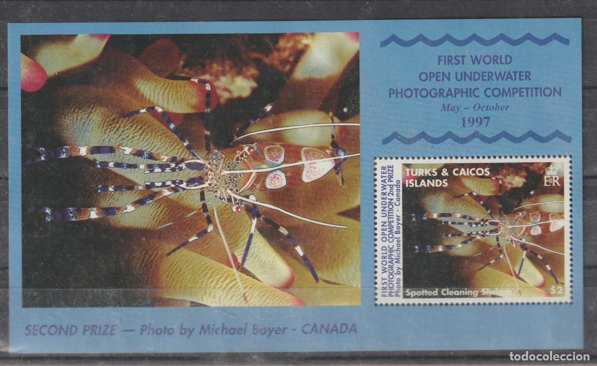 Sellos: Turks & Caicos 1998 - Yvert bloc 178 mnh** - Foto 1