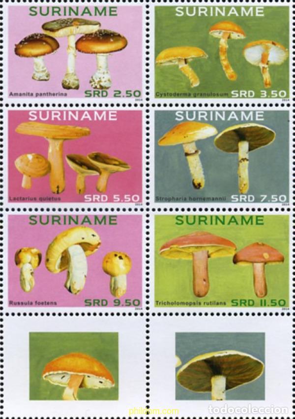 Sellos: 723744 MNH SURINAM 2014 SETAS - Foto 1