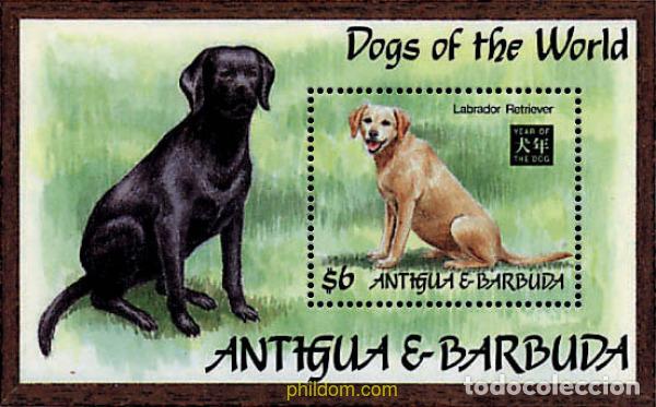 Timbres: 722290 MNH ANTIGUA Y BARBUDA 1994 PERROS DE RAZA