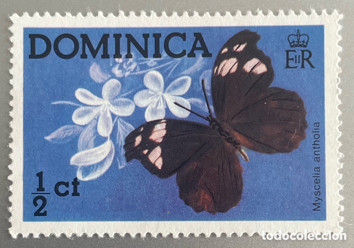 Sellos: Dominica. Mariposas. 1975 - Foto 1