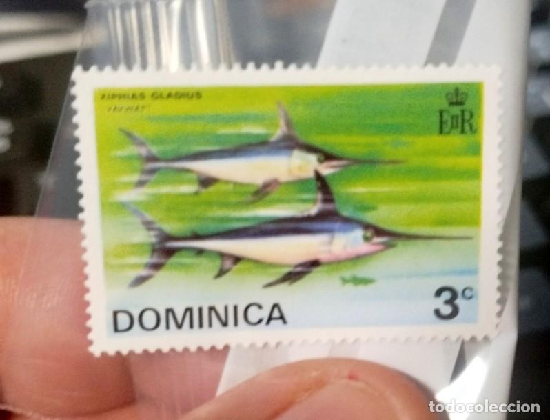 Sellos: Sello de Dominica 1968 - Foto 1