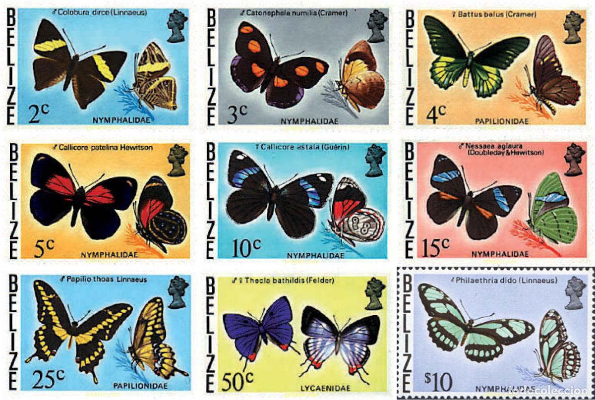 Sellos: 777345 MNH BELIZE 1974 MARIPOSAS - Foto 1