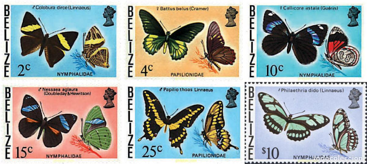 Sellos: 777346 MNH BELIZE 1974 MARIPOSAS - Foto 1