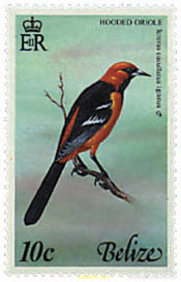 Sellos: 777355 MNH BELIZE 1977 PAJAROS DE BELIZE - Foto 1