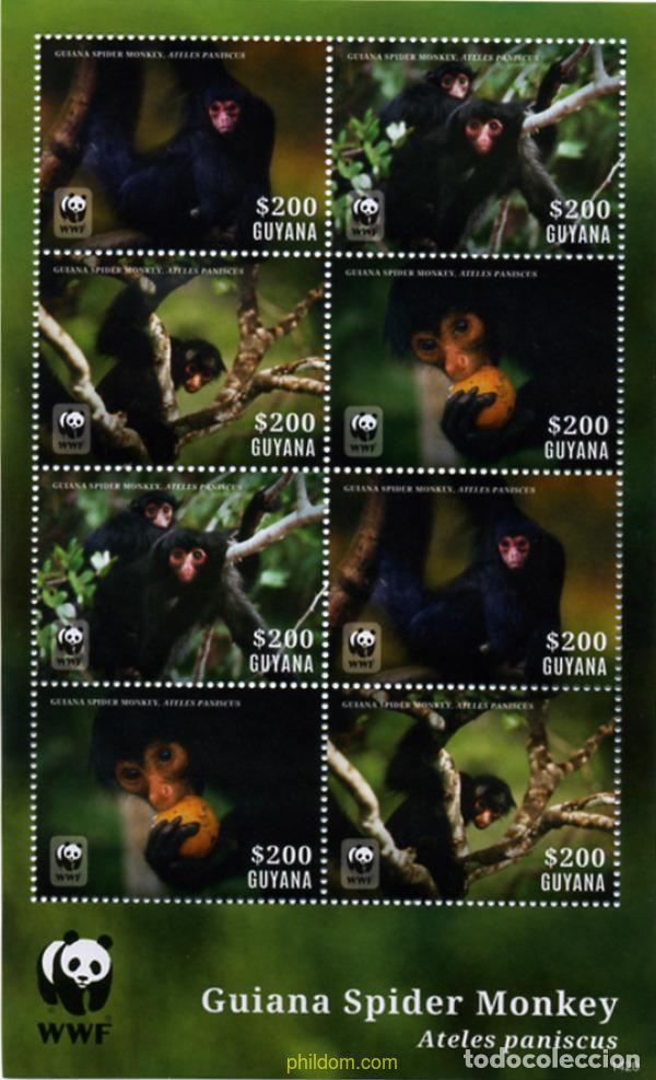 Sellos: 337671 MNH GUYANA 2014 PRIMATE - Foto 1