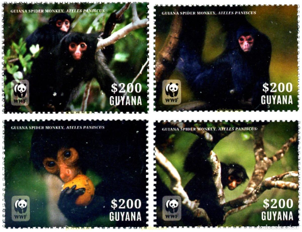 Sellos: 337669 MNH GUYANA 2014 PRIMATE - Foto 1