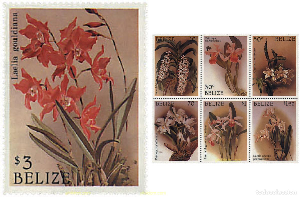 Sellos: 778024 MNH BELIZE 1987 ORQUIDEAS - Foto 1