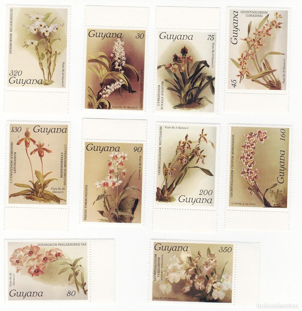 Sellos: SELLOS NUEVOS DE GUYANA &ndash; FLORA, ORQU&Iacute;DEAS - Foto 1