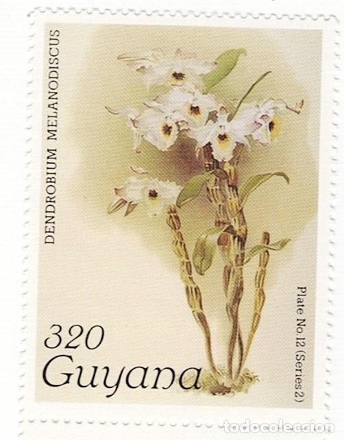 Sellos: SELLOS NUEVOS DE GUYANA &ndash; FLORA, ORQU&Iacute;DEAS - Foto 3
