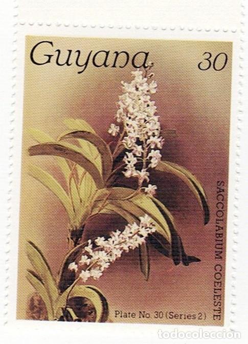 Sellos: SELLOS NUEVOS DE GUYANA &ndash; FLORA, ORQU&Iacute;DEAS - Foto 4