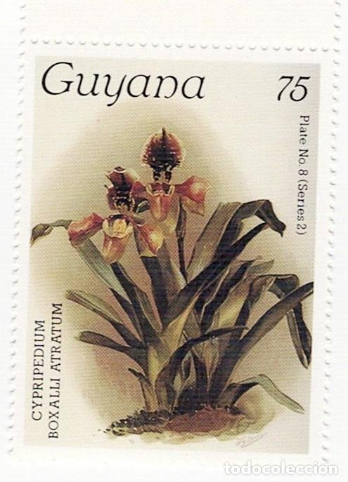 Sellos: SELLOS NUEVOS DE GUYANA &ndash; FLORA, ORQU&Iacute;DEAS - Foto 5
