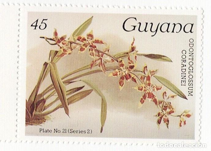 Sellos: SELLOS NUEVOS DE GUYANA &ndash; FLORA, ORQU&Iacute;DEAS - Foto 6