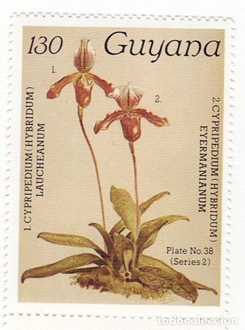 Sellos: SELLOS NUEVOS DE GUYANA &ndash; FLORA, ORQU&Iacute;DEAS - Foto 7