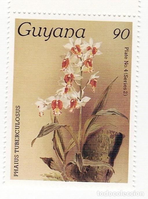 Sellos: SELLOS NUEVOS DE GUYANA &ndash; FLORA, ORQU&Iacute;DEAS - Foto 8