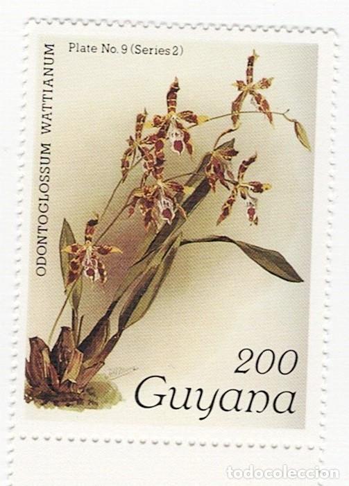 Sellos: SELLOS NUEVOS DE GUYANA &ndash; FLORA, ORQU&Iacute;DEAS - Foto 9