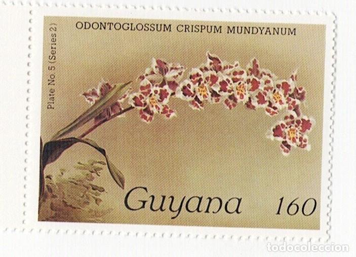 Sellos: SELLOS NUEVOS DE GUYANA &ndash; FLORA, ORQU&Iacute;DEAS - Foto 10