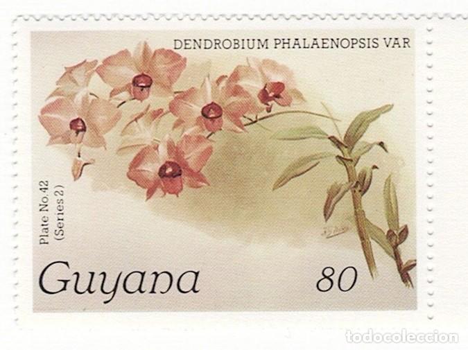Sellos: SELLOS NUEVOS DE GUYANA &ndash; FLORA, ORQU&Iacute;DEAS - Foto 11