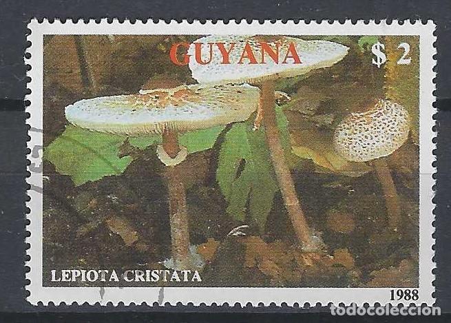 Sellos: GUYANA 1989 - FLORA, SETAS, LEPIOTA MALOLIENTE - USADO - Foto 1
