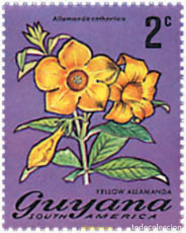 Sellos: 759948 MNH GUYANA 1971 FLORES - Foto 1