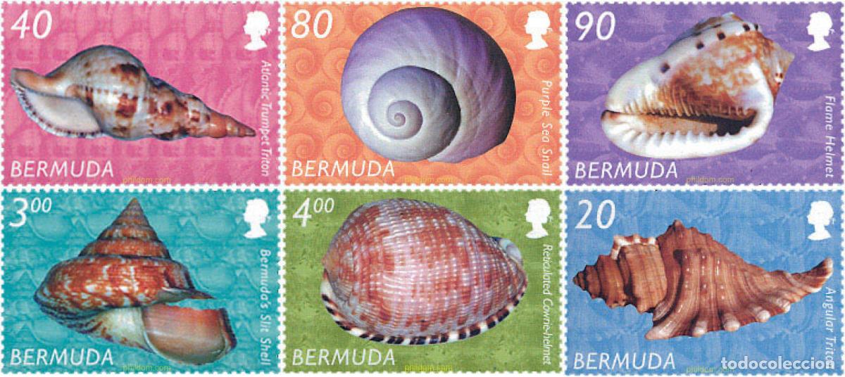Sellos: 780188 MNH BERMUDAS 2002 CONCHAS - Foto 1