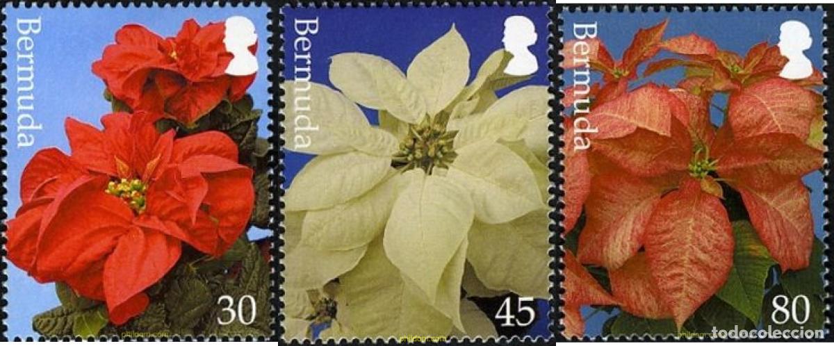 Sellos: 762864 MNH BERMUDAS 2003 NAVIDAD - Foto 1