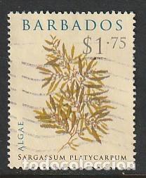 Sellos: BARBADOS, SELLO USADO