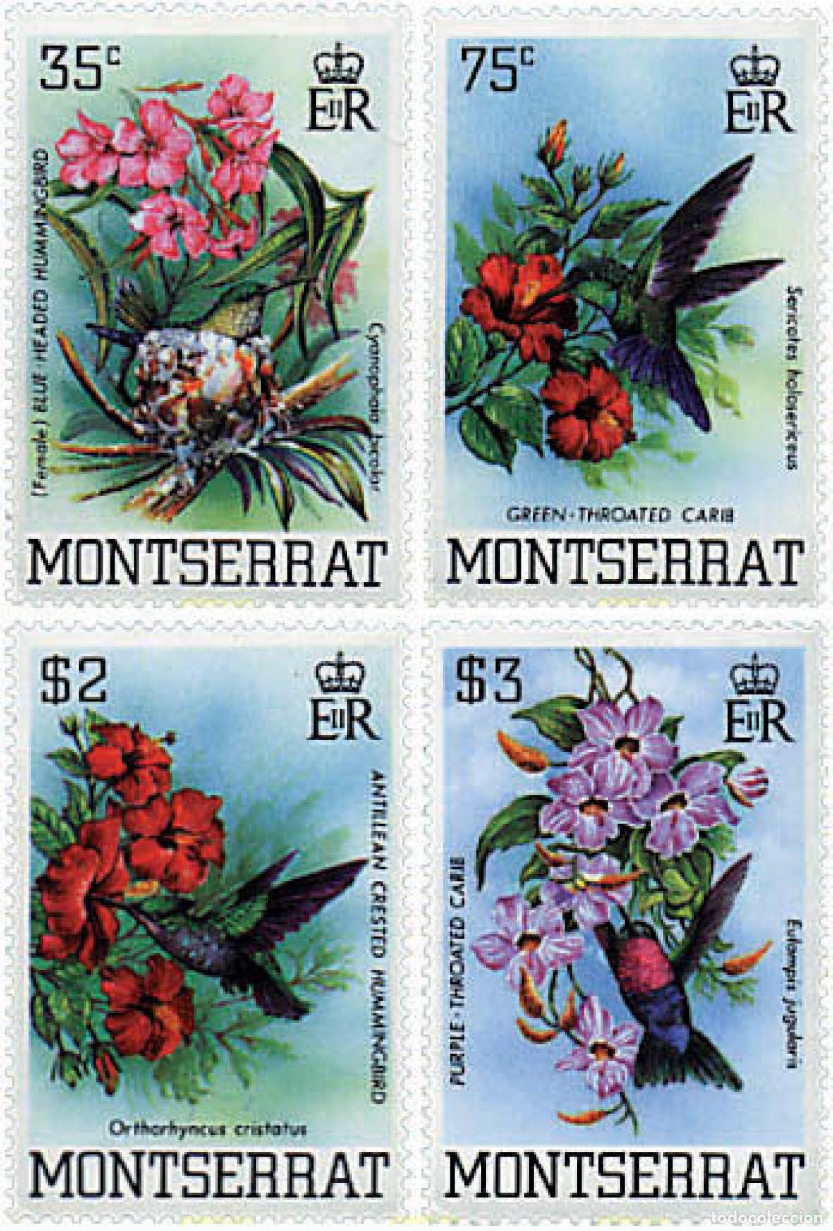 Sellos: 95209 MNH MONTSERRAT 1983 COLIBRIS