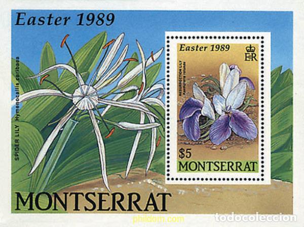 Sellos: 95228 MNH MONTSERRAT 1989 PASCUA. FLORES