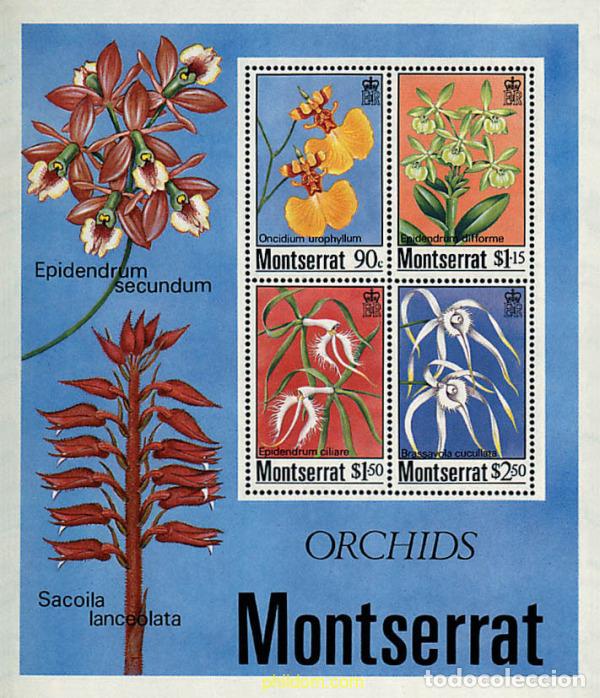 Sellos: 95219 MNH MONTSERRAT 1985 ORQUIDEAS