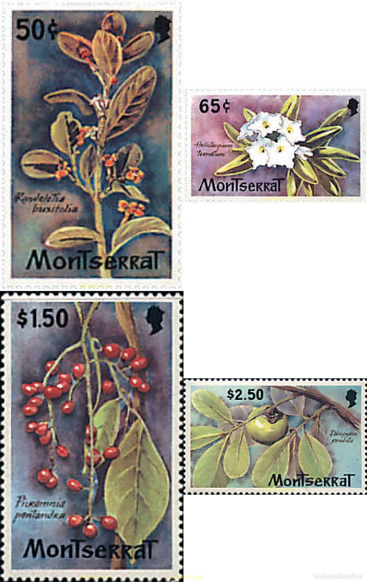 Sellos: 100024 MNH MONTSERRAT 1982 FLORA SILVESTRE