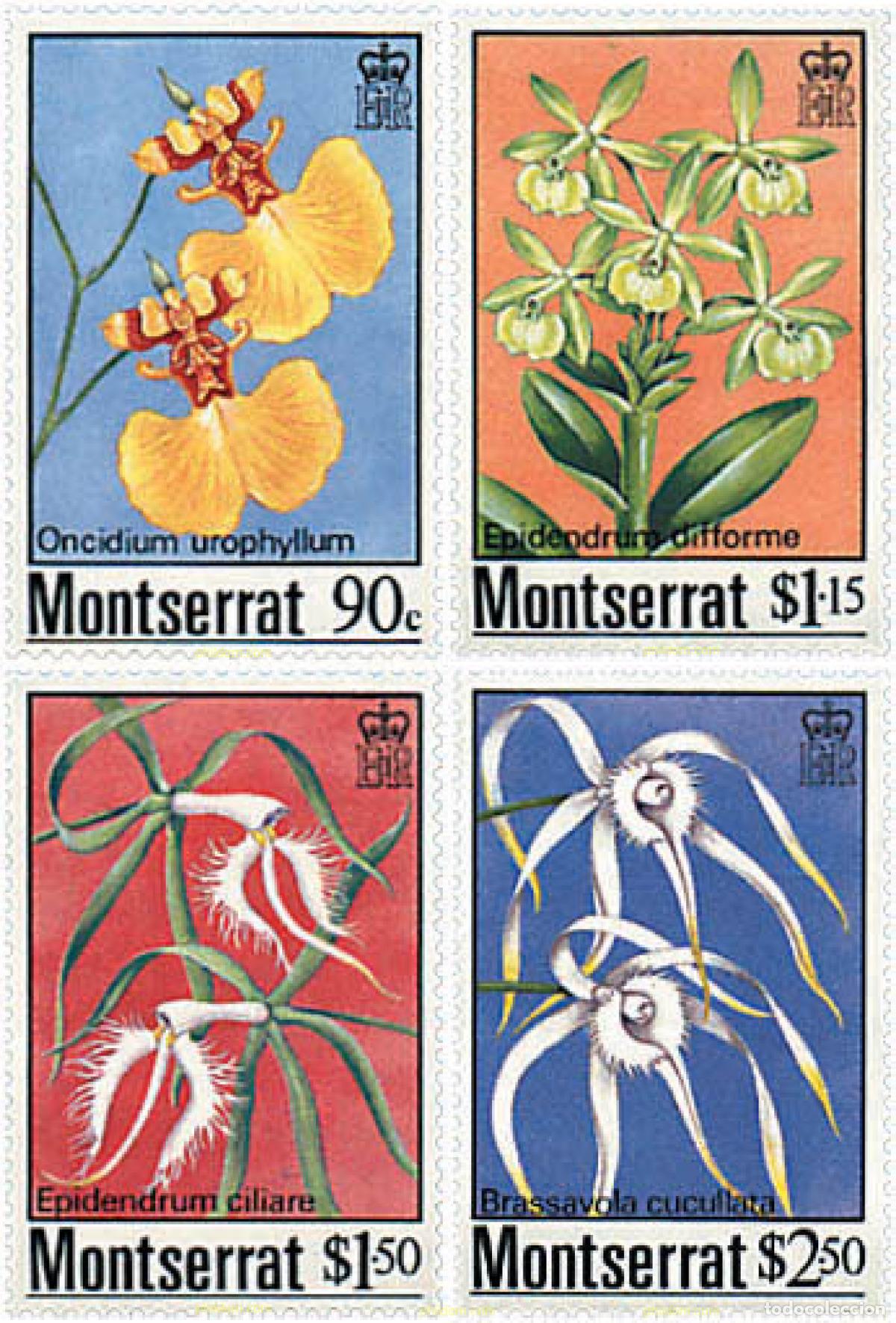 Sellos: 95256 MNH MONTSERRAT 1985 ORQUIDEAS
