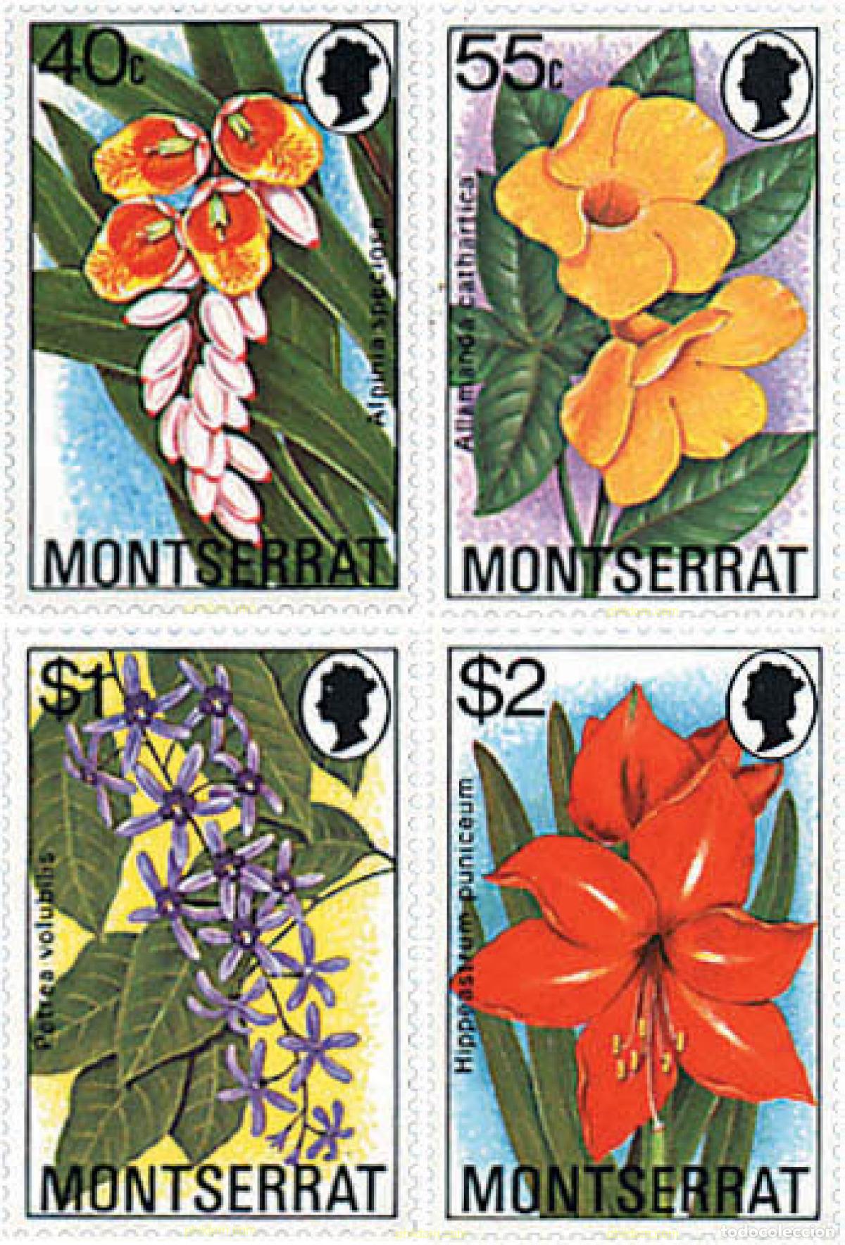Sellos: 95205 MNH MONTSERRAT 1978 FLORES TROPICALES