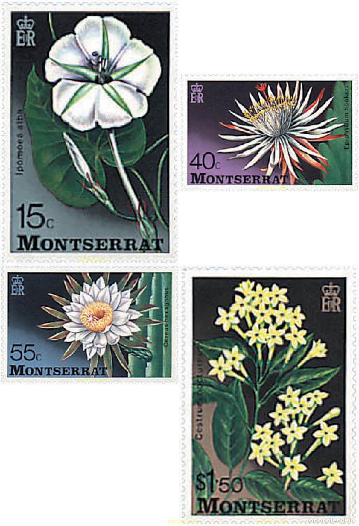 Sellos: 95203 MNH MONTSERRAT 1977 FLORES DE MONTSERRAT