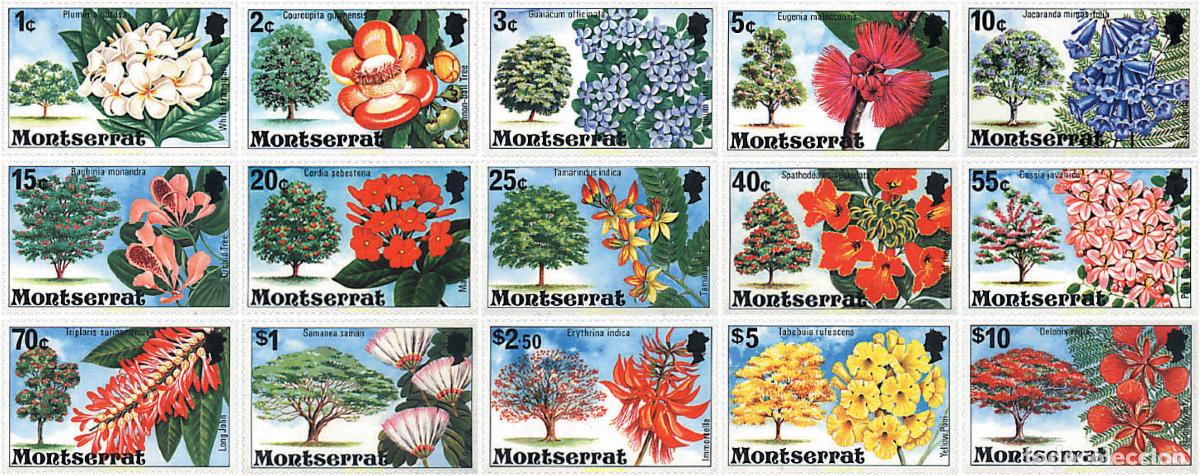 Sellos: 95252 MNH MONTSERRAT 1976 FLORES