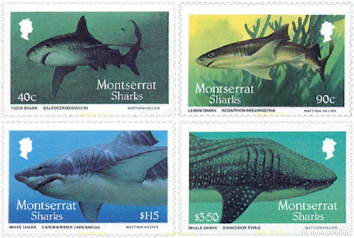Sellos: 76536 MNH MONTSERRAT 1987 TIBURONES
