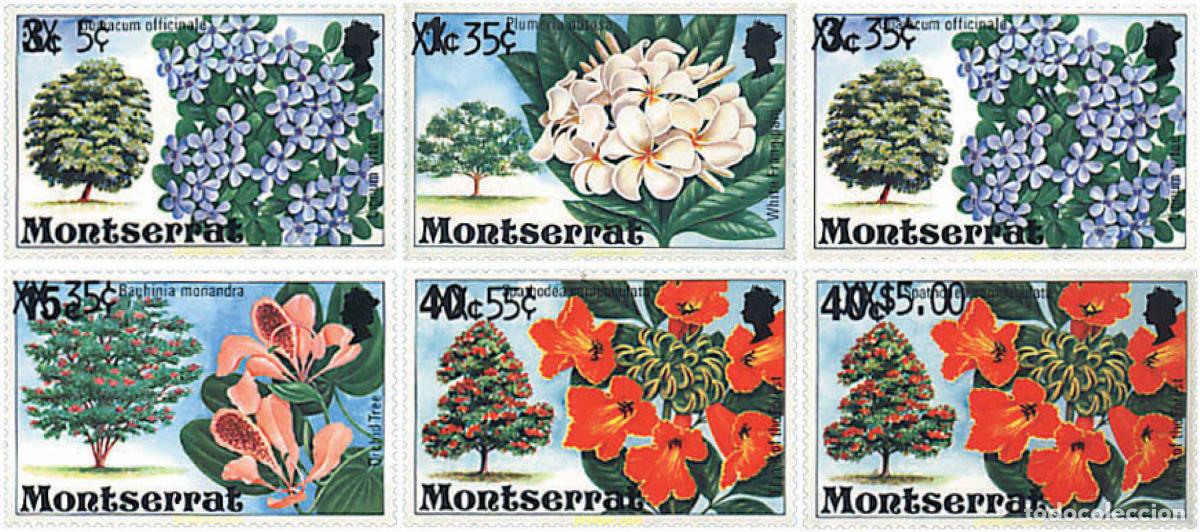 Sellos: 95693 MNH MONTSERRAT 1980 FLORES