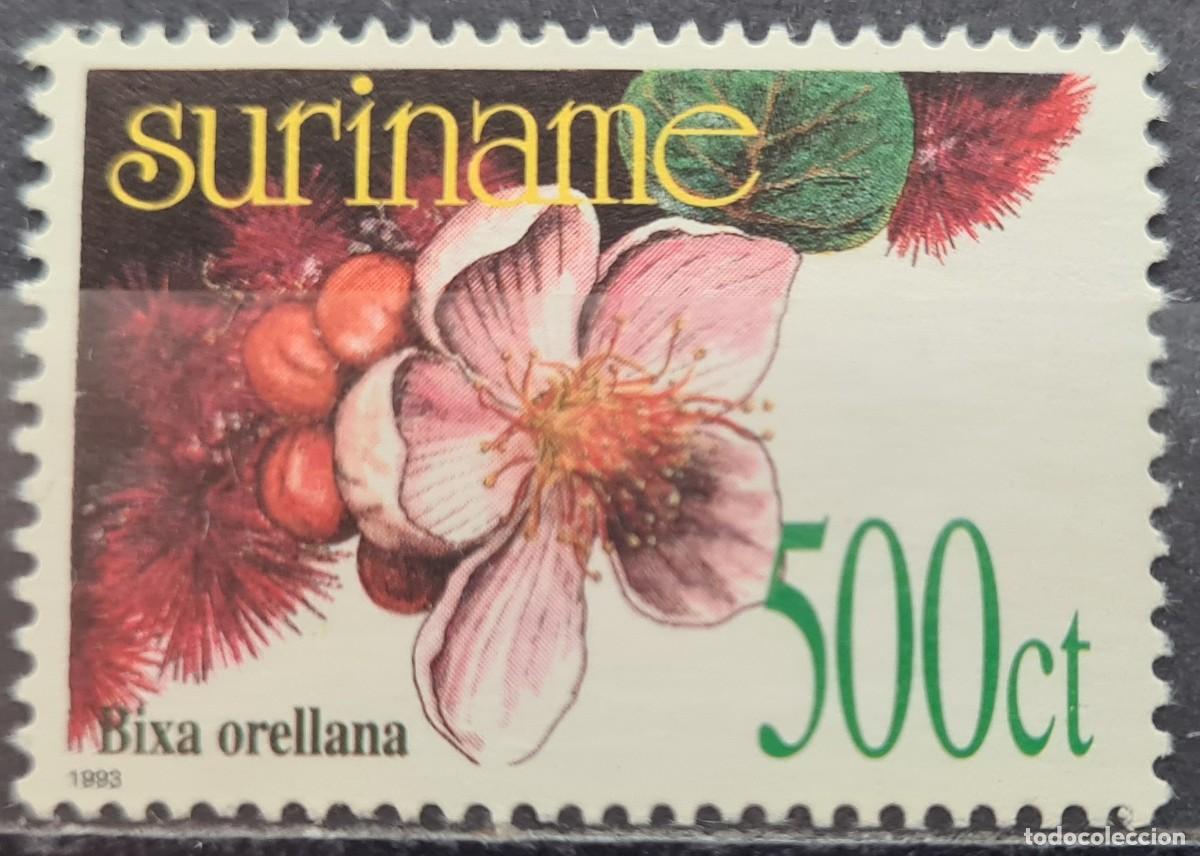 Sellos: Sello de Surinam 1993. Flora ind&iacute;gena: Bixa orellana