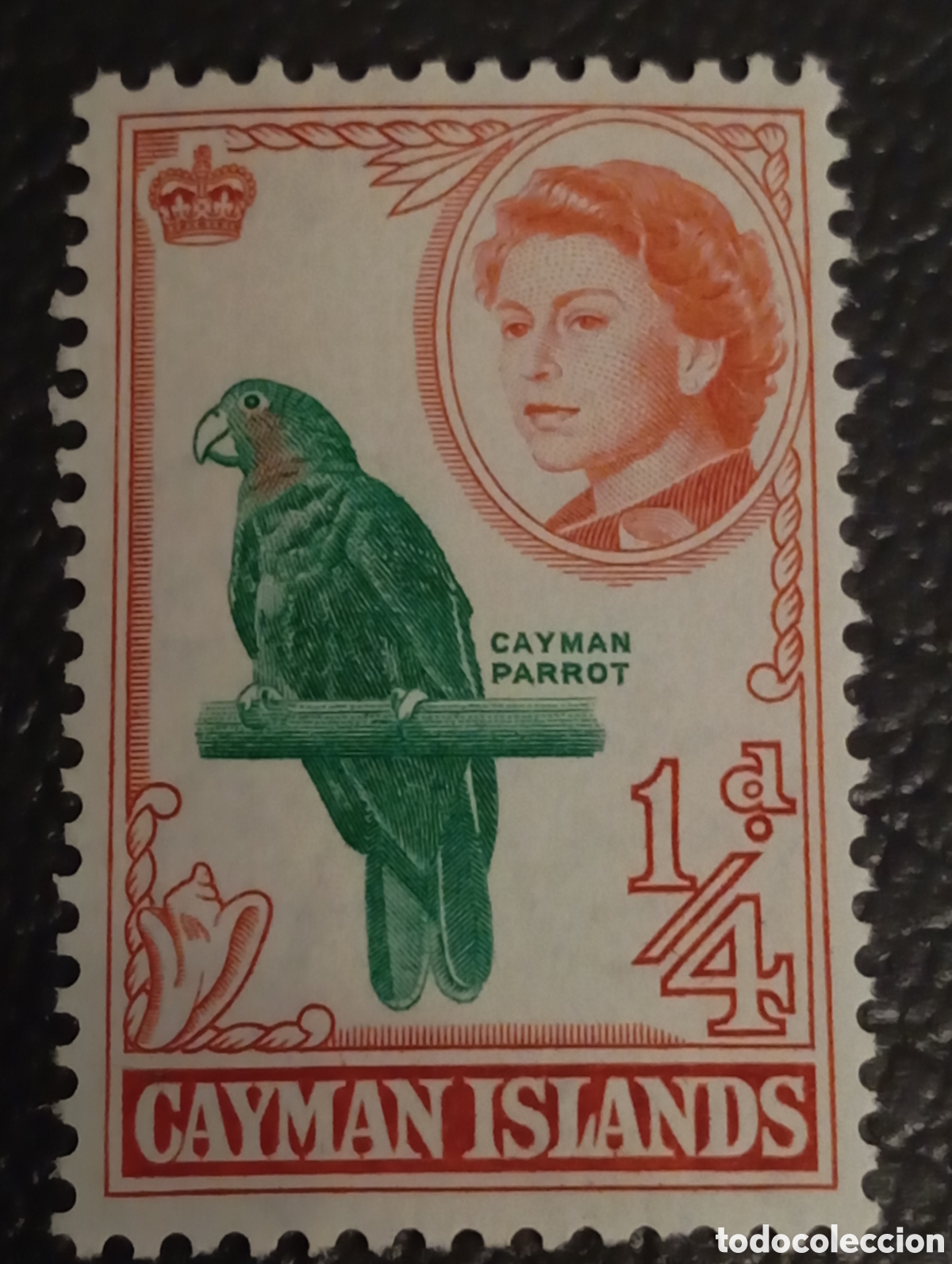 Sellos: Islas Caim&aacute;n 1962 - Reina Isabel II y Loro - Scott 153 / SG 165 - MNH